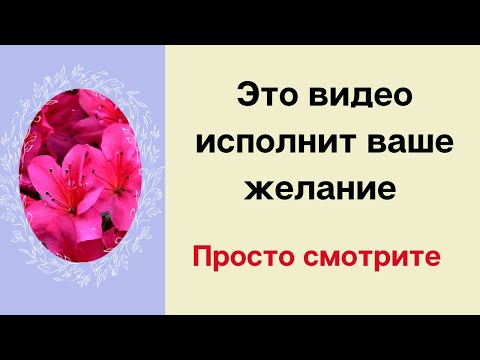 Видео: Это видео исполнит любое желание. Просто смотрите.