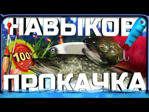 Видео: РР4 ЛУЧШАЯ ПРОКАЧКА ВСЕХ НАВЫКОВ ДО 100%