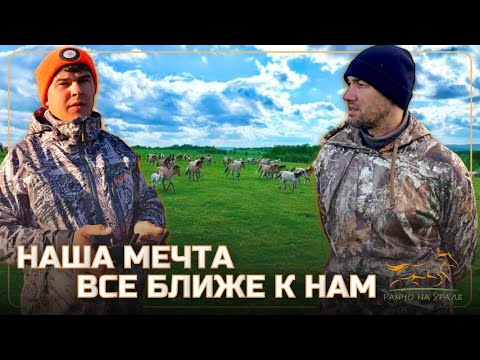 Видео: Будни Фермера / Базе отдыха на нашем Ранчо БЫТЬ / Жеребят становиться все больше и больше