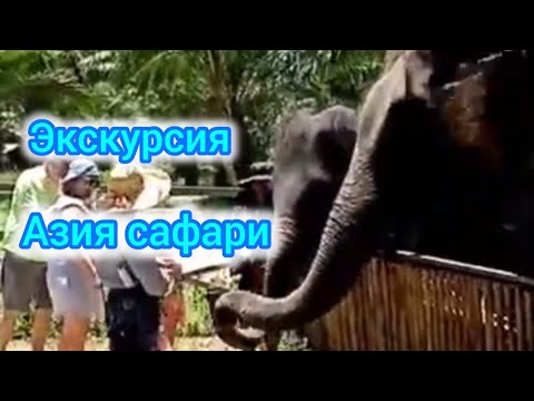 Видео: Экскурсия Азия сафари. Пхукет, август 2023.