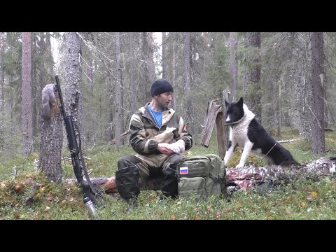 Видео: ОТКРЫЛИСЬ ПО ПУШНИНЕ. НАШЛИ БЕРЛОГУ