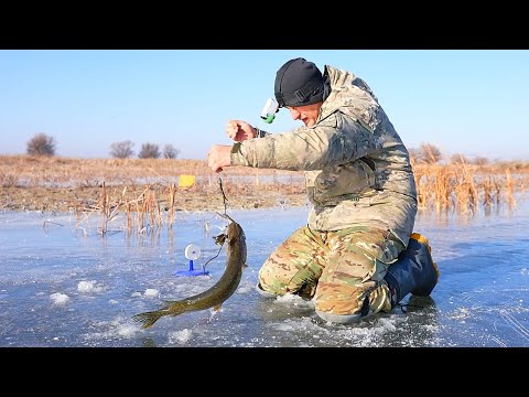 Видео: Я просто хотел поймать щуку. Рыбалка на жерлицы. Зимняя рыбалка с приключениями.