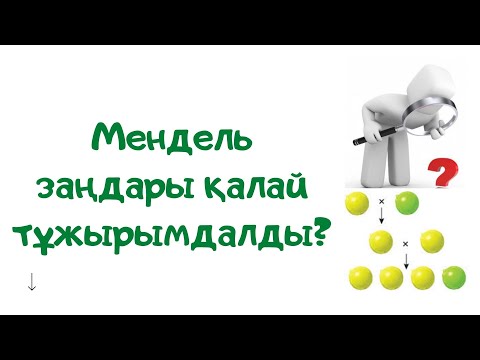 Видео: Мендель заңдары қалай тұжырымдалды?