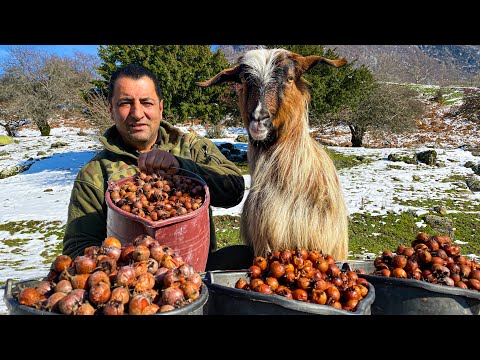 Видео: Приготовление Запеченной Индейки в фольге под горящими углями с другом Микки