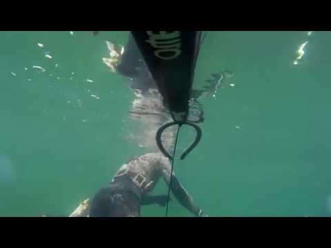 Видео: Подводная охота на кефаль в Баку 2016