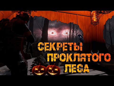 Видео: Секреты проклятого леса! ● Калибр
