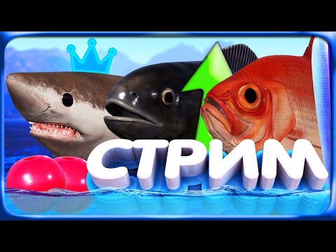 Видео: РР4 СТРИМ • ПРОВЕРЯЕМ ЛУЧШИЕ ТОЧКИ ФАРМА в ИГРЕ на МЕДНОМ ОЗЕРЕ и ОСЕТРЫ с ТУНГУСКИ! + МОРЕ