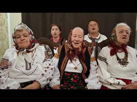 Видео: 26 жовтня 2025 р.