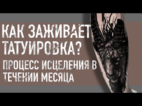 Видео: Процесс Заживления Татуировки. Как Ухаживать За Татуировкой.