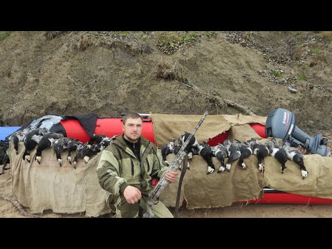 Видео: Охота на белом море часть 2  Архангельская область