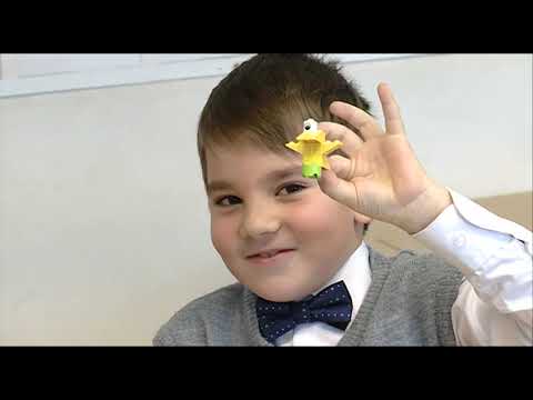 Видео: МАОУ «Татановская СОШ», Тамбовская область