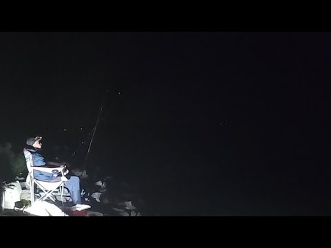 Видео: Скуфы Впервые на Утренней Рыбалке