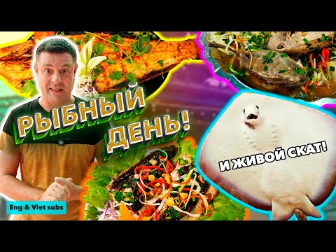 Видео: Обзор Quán B9. Живой скат!