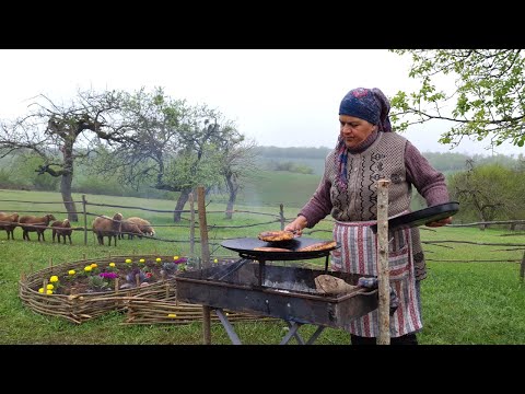 Видео: Готовим Куринные Бургеры и Нагетсы из Картофеля