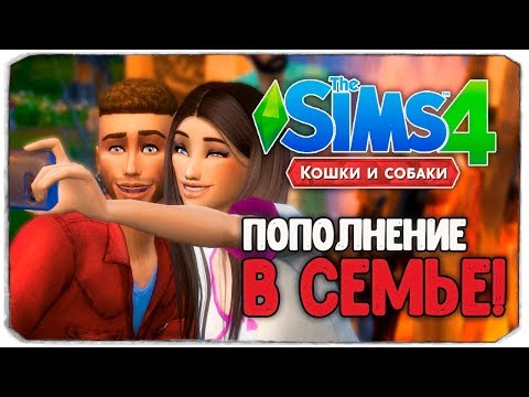 Видео: СОФИ ТЕПЕРЬ ЖИВЕТ С...? - The Sims 4 "Кошки и Собаки" ▮