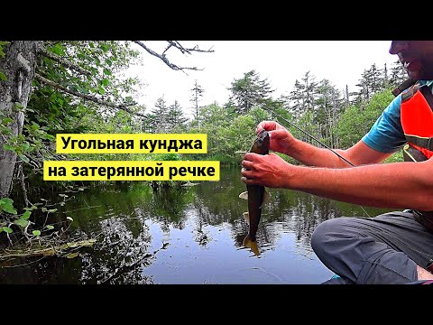 Видео: Затерянная в глухомани речка. Рыба и медвежьи тропы