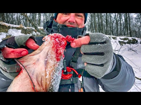 Видео: ОПУСТИЛ МОРМЫШКУ В КОРЯГИ И НАРВАЛСЯ НА КРУПНЯК! Лещ, язь, сазан, осётр со льда. Вот это РЫБАЛКА!