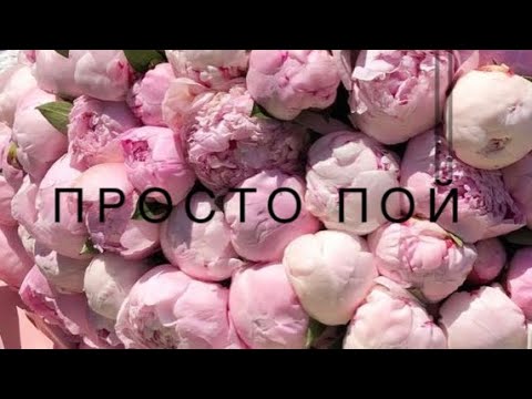 Видео: Просто пой..