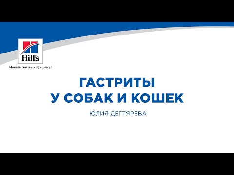 Видео: Вебинар на тему: "Гастриты у собак и кошек". Лектор - Юлия Дегтярева