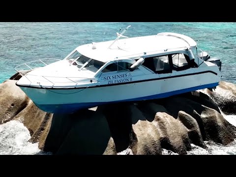 Видео: Люди — идиоты | Попробуй не смеяться