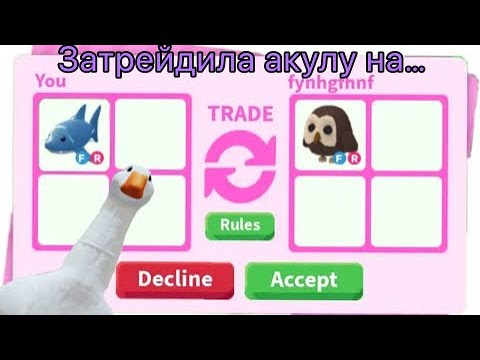 Видео: Трейжу ФР акулу на… | adopt me | 2023