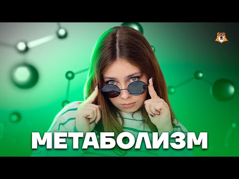 Видео: Метаболизм: полный разбор | Биология ЕГЭ для 10 класса | Умскул