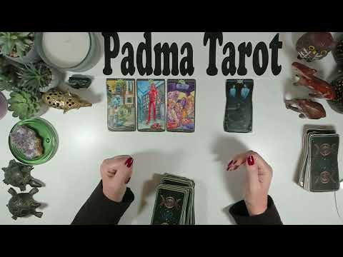 Видео: ТЕЛЕЦ♉️ЭТО МОЖЕТ ВАС ШОКИРОВАТЬ! 10-16 НОЯБРЯ. Еженедельное гадание на картах Таро 🔮💫