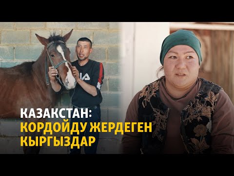 Видео: Казакстан: Кордойду жердеген кыргыздар