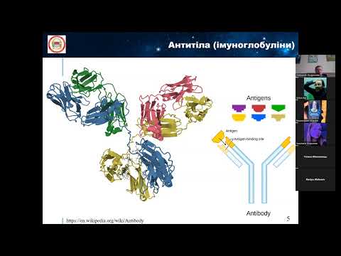 Видео: Лекція 04. Імунна система та імунодепресанти