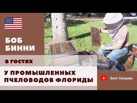 Видео: Промышленные пчеловоды Флориды. Часть 1 (Боб Бинни, США)