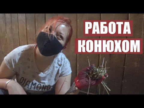 Видео: РАБОТАЕМ КОНЮХАМИ 24 ЧАСА