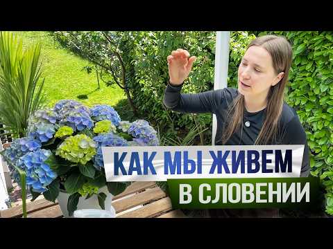 Видео: Жизнь в Словении: Цены, Магазины и НАШ САД в Любляне