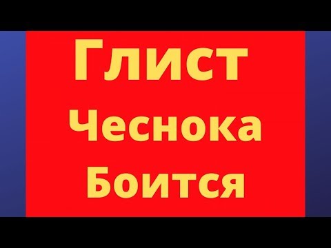 Видео: Философия паразитов