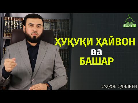 Видео: ҲУҚУҚИ ҲАЙВОН ва БАШАР ||Шарҳи ҳадиси #2363