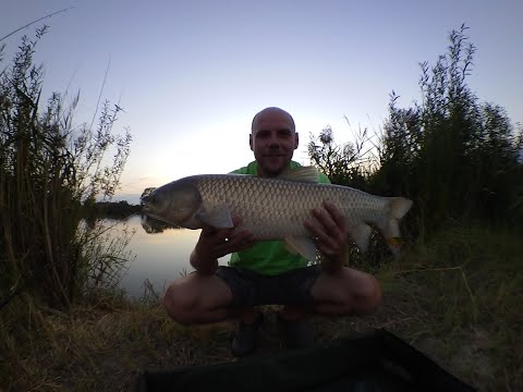 Видео: От це так рибалка. І знову мішок риби. Частина 1