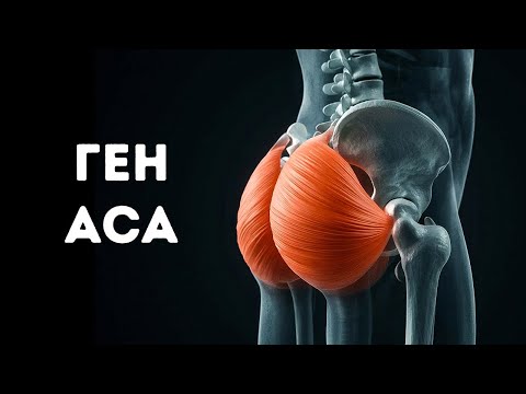 Видео: Ваше тело имеет код, о котором вы не знали