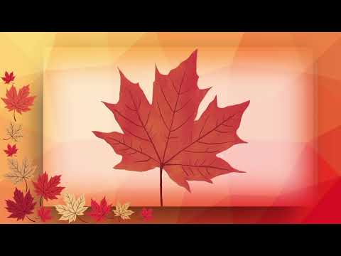 Видео: Дидактична гра "Якого кольору листочок?" (Чигиринова Катерина Михайлівна)