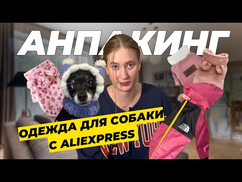 Видео: Самый МИЛЫЙ анпакинг в вашей жизни // Примеряем зимние вещи для моей собаки 💔