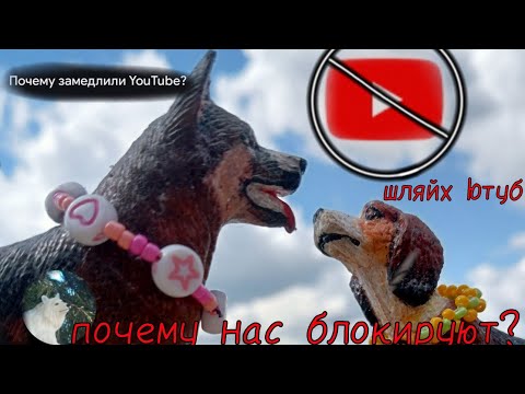 Видео: шляйх Ютуб потихоньку блокируют? шляйх блогеры переходят в лайк и рутуб?🪓