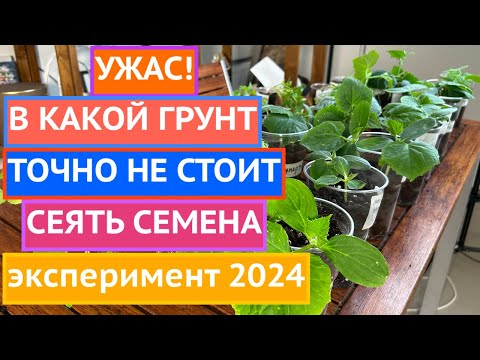 Видео: ОФИЦИАЛЬНО!  В КАКИЕ ГРУНТЫ ЛУЧШЕ ВСЕГО СЕЯТЬ СЕМЕНА, А ОТ КАКИХ СТОИТ ОТКАЗАТЬСЯ!