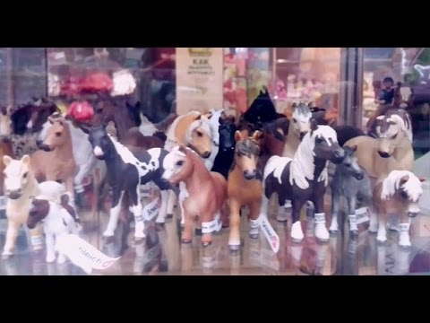 Видео: Где я покупаю модельки Schleich и CollectA?