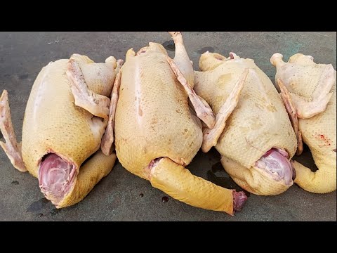 Видео: САМАЯ выгодная птица в хозяйстве!!! мясо очень вкусное!!Они себя и Вас кормят!