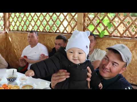 Видео: Природа 10 жылдык