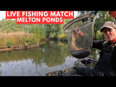 Видео: Рыбалка вживую на прудах Мелтон NR9 5HW, #matchfishinguk