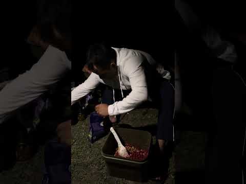 Видео: Алмата.Спортивный водоем Казфиш,разведка