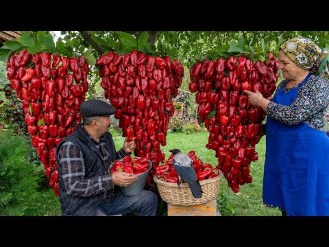 Видео: Круглогодичное Удовольствие: Идеальный Рецепт Фаршированного Перца