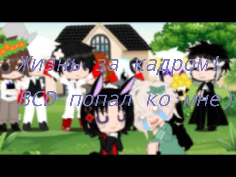 Видео: Жизнь за кадром, но ко мне попал BSD!
