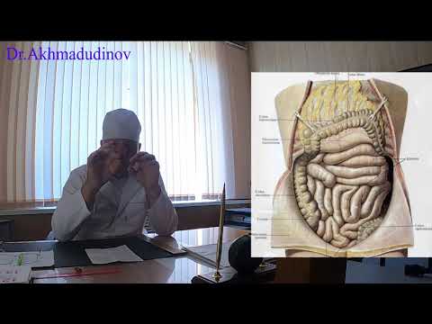 Видео: Оперативные вмешательства на органах брюшной полости. Часть 1. Проф. Ахмадудинов М.Г.