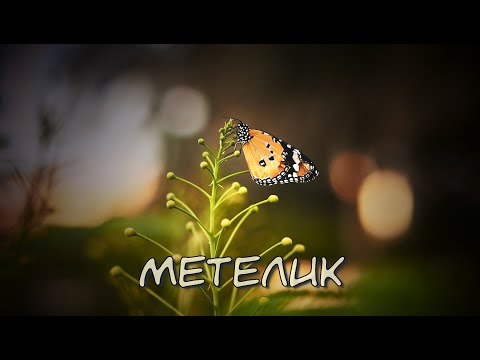 Видео: Метелик (Кавер)