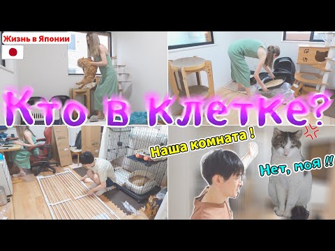 Видео: [Жизнь в Японии]Япония Влог Муж и кот поделили комнату